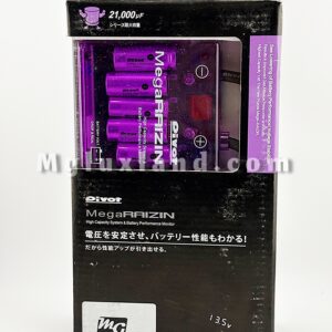 استابلایزر ولتاژ مگا رایزن PIVOT Mega RAIZIN VS-M