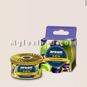 خوشبوکننده خودرو آرئون مدل Ken با رایحه بلوبری | Areon Ken Blueberry Car Air Freshener