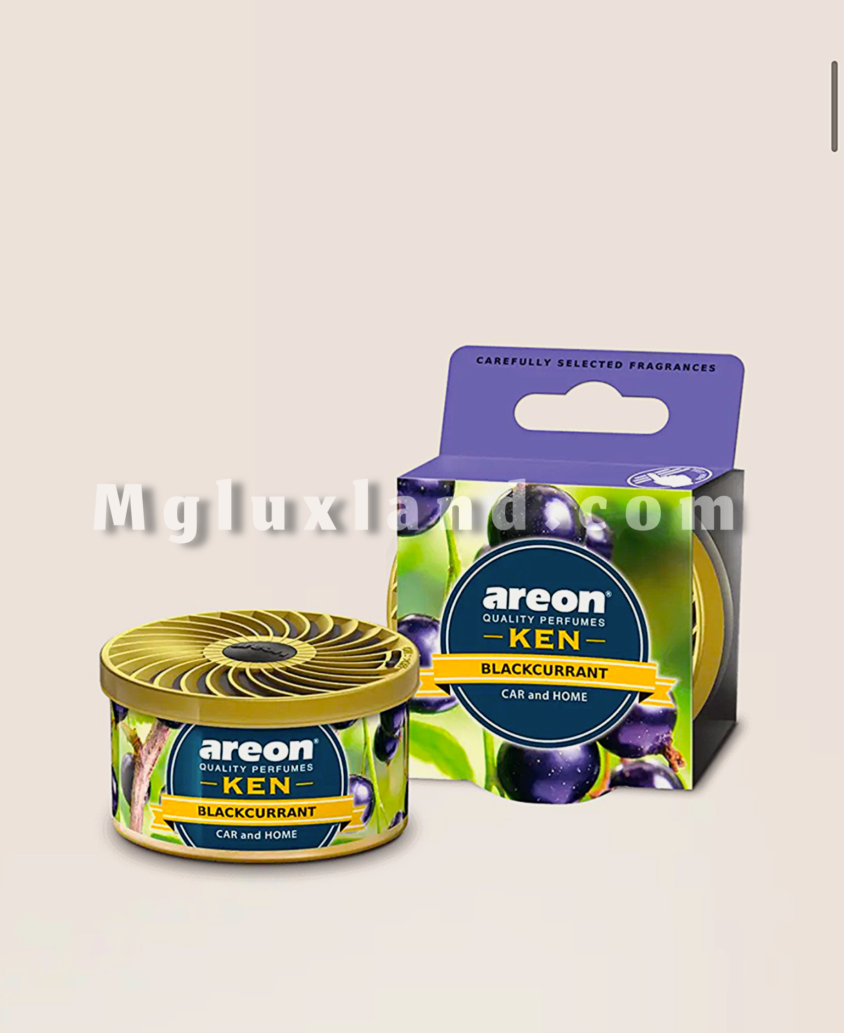 خوشبوکننده خودرو آرئون مدل Ken با رایحه بلوبری | Areon Ken Blueberry Car Air Freshener